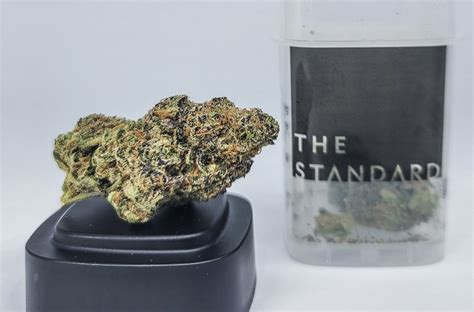 SBC Strain Review | Do-Si-Dos from Standard Wellness - Salt Baked City News