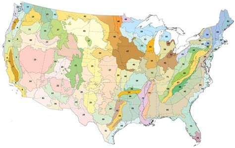 Central Great Plains (ecoregion) - Alchetron, the free social encyclopedia