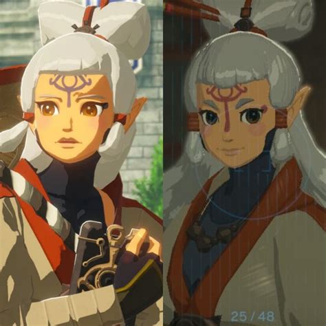 Impa / Link Impa And Paya The Legend Of Zelda And 1 More Drawn By Stoic ...