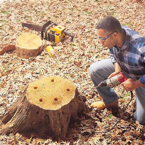 How to Remove a Tree Stump Painlessly (DIY) | Family Handyman