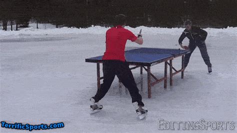 Table Tennis GIF - Find & Share on GIPHY