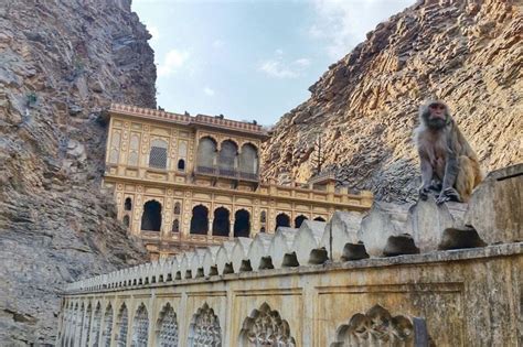 Monkey Temple Jaipur 🐵 SECRET way to get there 🐵 Backpacking Rajasthan ...