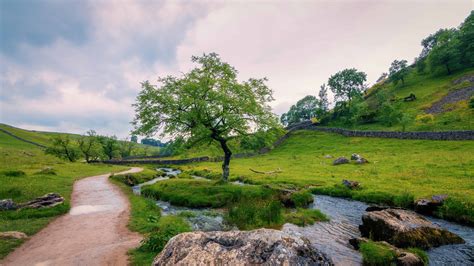 Free picture: sky, summer, landscape, grass, tree, nature, water, outdoor