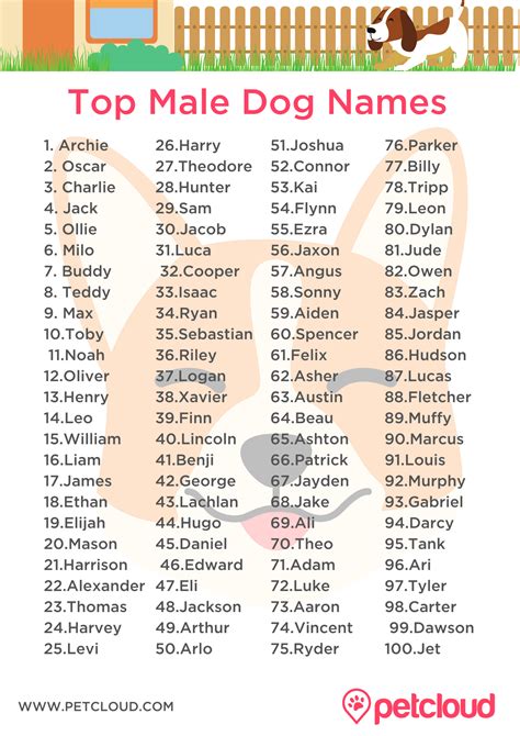 What Are Some Good Dog Names