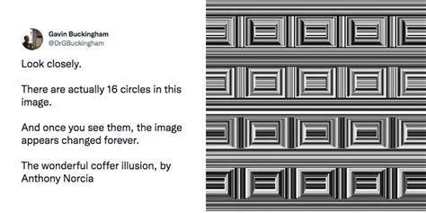 The coffer illusion has people struggling to see circles - Upworthy