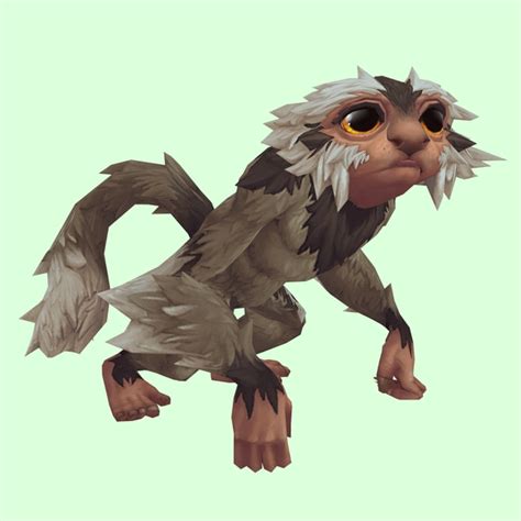 Curious Marmoni - NPC | Petopia - Hunter Pets in the World of Warcraft