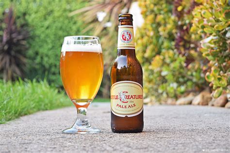 Top 10 Best Pale Ale Beer Brands To Try in 2023