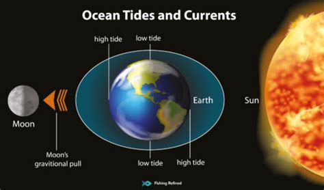 How Moon Phases & Ocean Tides Affect Fishing Success