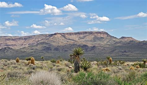 Arid and Semi-arid Region Landforms - Geology (U.S. National Park Service)