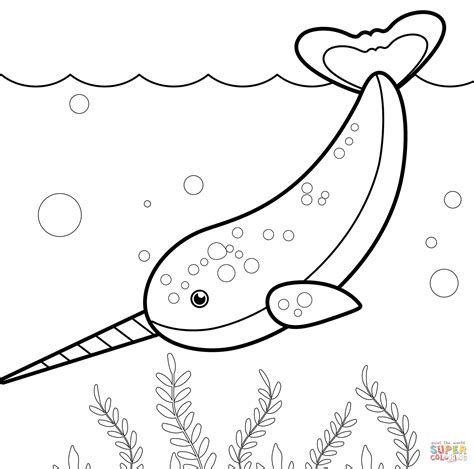 Narwhal coloring page | Free Printable Coloring Pages