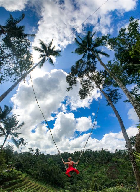 Giant Jungle Swing Bali | Bruin Blog