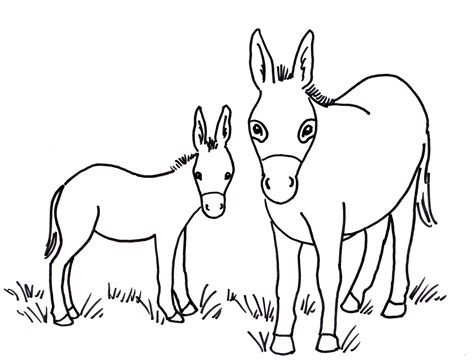 Printable Donkey Picture - Printable Word Searches