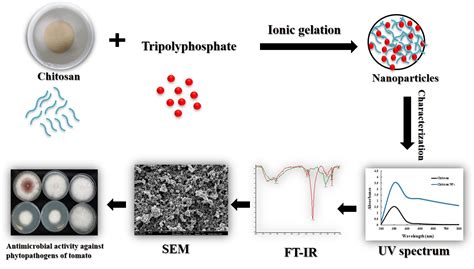 Agronomy | Free Full-Text | Preparation and In Vitro Characterization ...