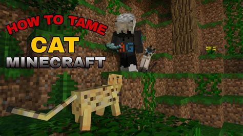 How To Tame Cat in Minecraft || minecraftpe || pocket edition | - YouTube