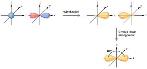 sp Hybridization | Introduction to Chemistry