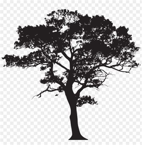 a black and white silhouette of a tree with no leaves on it ...