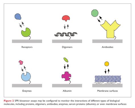 Surface Plasmon Resonance's impact on drug discovery - resolution ...