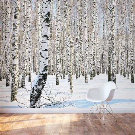 Birch Tree Wall Mural | Winter Birch Tree Wallpaper