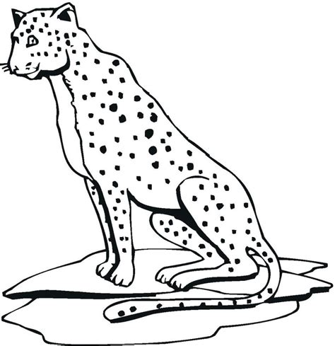 Outline Drawing Of A Cheetah – Warehouse of Ideas