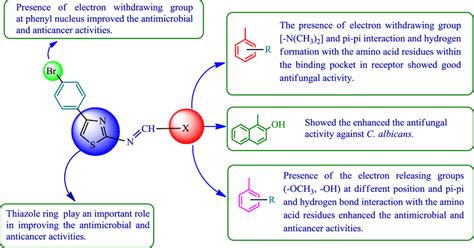 Structural activity relationship of synthesized thiazole derivatives ...