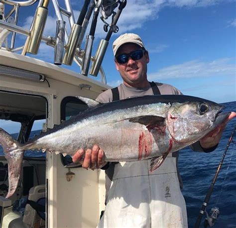 blackfin tuna @robbiesfishingmarina - Islamorada