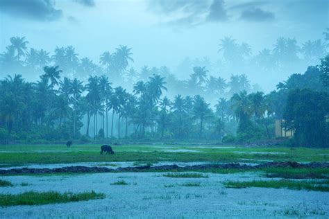 Monsoon | India's 2023 monsoon most likely to be normal this year, says ...