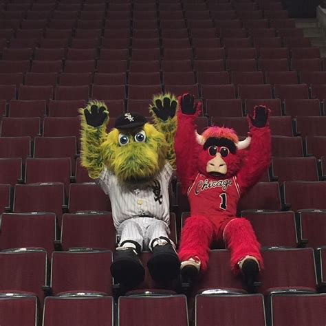 Southpaw (Chicago White Sox) and Benny the Bull (Chicago Bulls ...