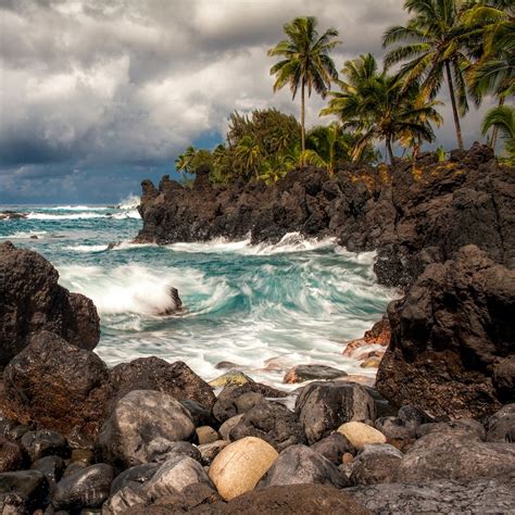 Preview wallpaper maui, hawaii, pacific ocean, cliffs, rocks, surf, palm