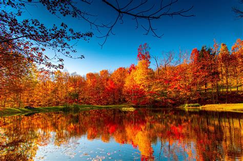 When Do Leaves Change Color This Year?