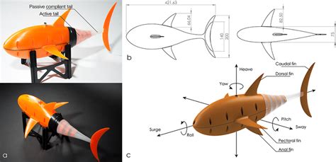 (a) Design of the open source soft robotic fish, (b) Side and top view ...