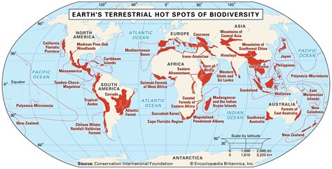 Biodiversity Loss Map