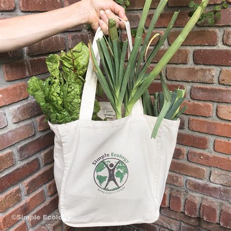 Organic Cotton Deluxe Reusable Canvas Grocery Bags — Simple Ecology