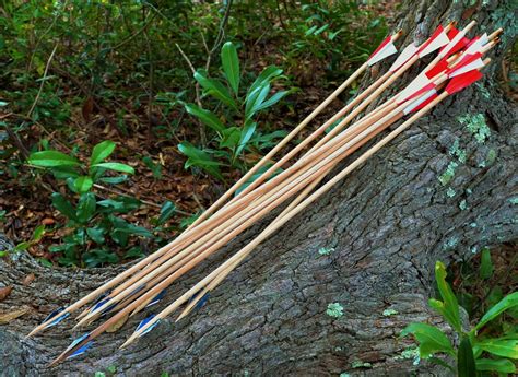 12 Natural Wooden Hunting Arrows with Razor Blades