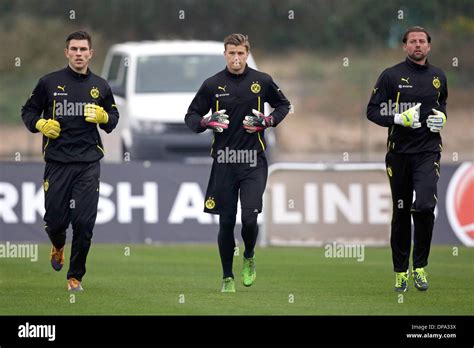 La Manga, Spain. 10th Jan, 2014. Dortmund's goalkeepers Zlatan ...