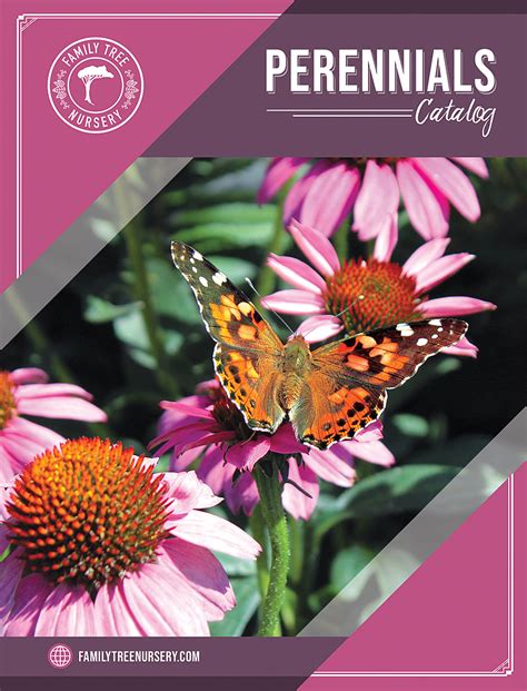 Perennials Catalog - FAMILY TREE NURSERY