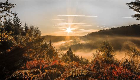 Wallpaper Sonnenuntergang, Bäume, Herbst, Wald, Himmel hd: Widescreen ...