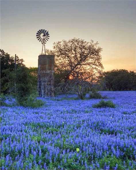 1000+ images about TEXAS SCENES & STUFF on Pinterest | Country roads ...