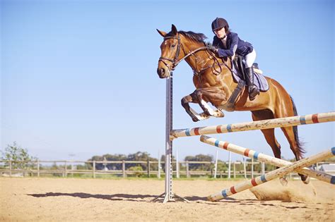 Introduction to Jumping in Horseback Riding