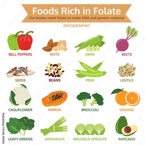 foods rich in folate, vegetable and fruit icon vector illustrati Stock ...