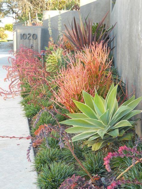 Succulent garden featuring agave and firestick by Roger's Gardens ...