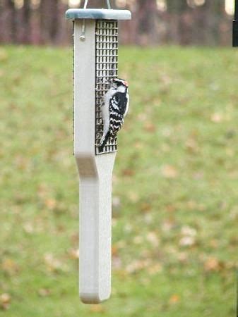 Woodpecker Suet Feeder Feeders Recycled For Woodpeckers 2 Colors ...