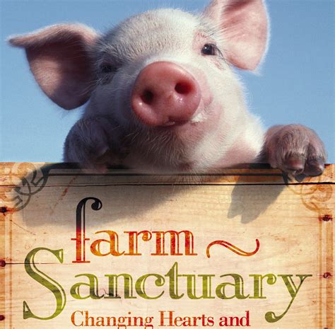 About Us - Farm Sanctuary