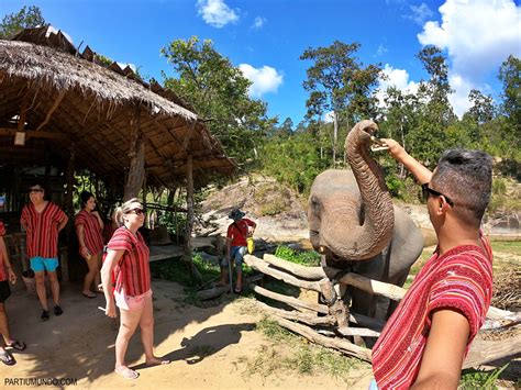 Things to do in Chiang Mai: Elephant Sanctuary | partiumundo.com