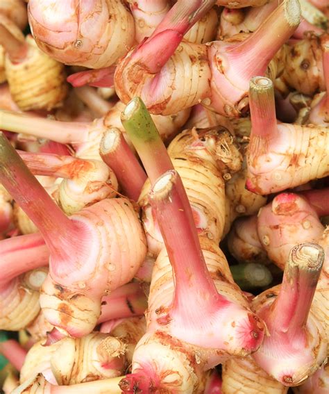 Ingredient: Galangal root @recipeland