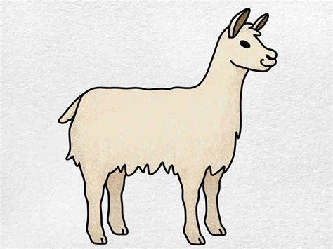 Llama Drawing - HelloArtsy