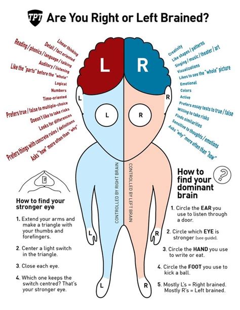 Nervous System - Miss L. Williams