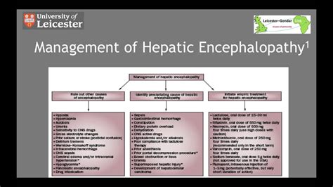 Management of Hepatic Encephalopathy in 5 Minutes - YouTube