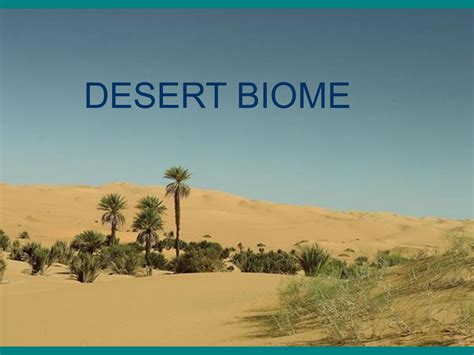 Desert Biome