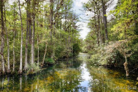 The Loop Road in the North of the Everglades, USA