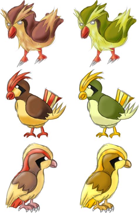 16-18: Pidgey Evolutions by AlenaChen on DeviantArt